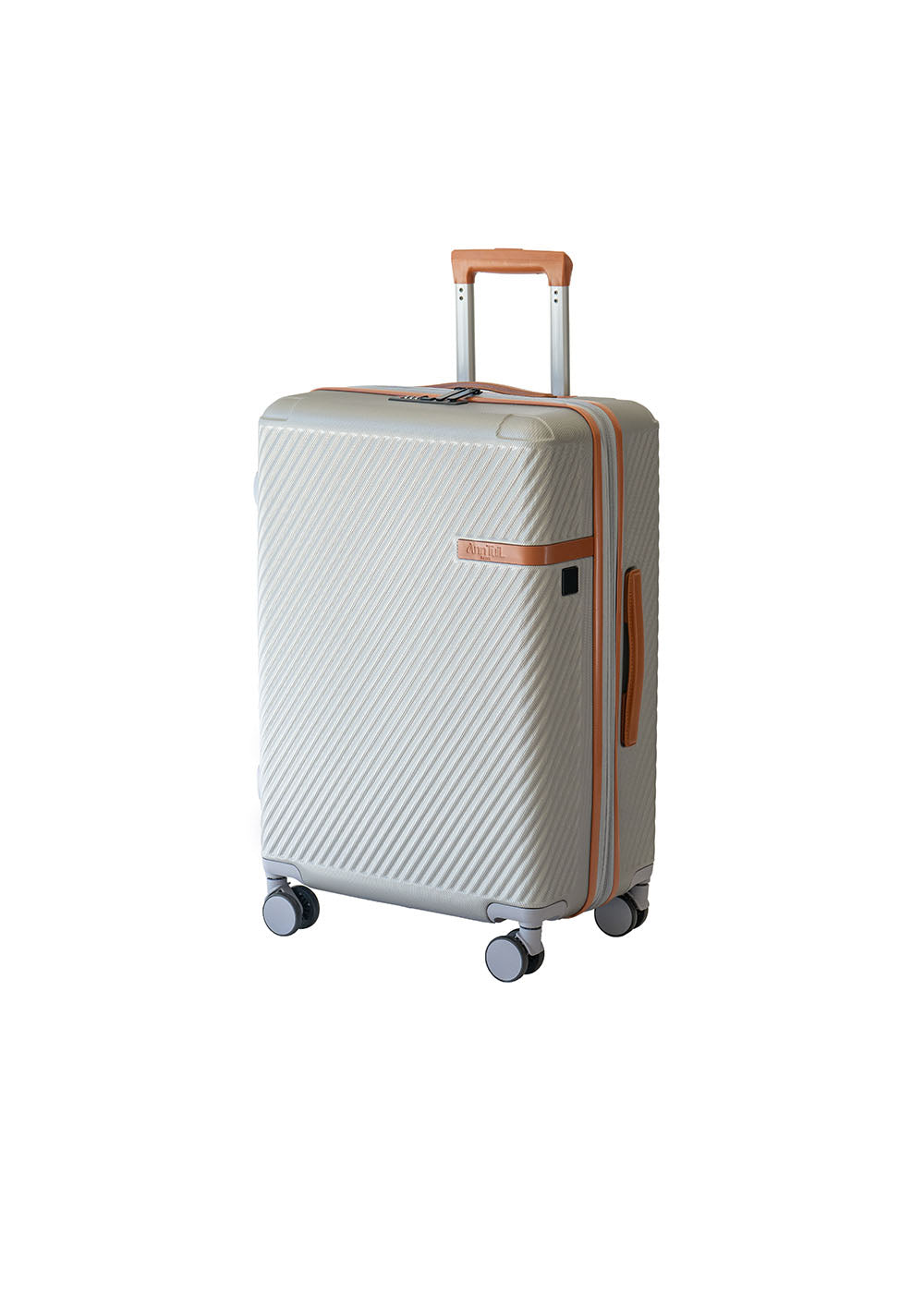 VALISE MOYENNE CHANGI GRISE