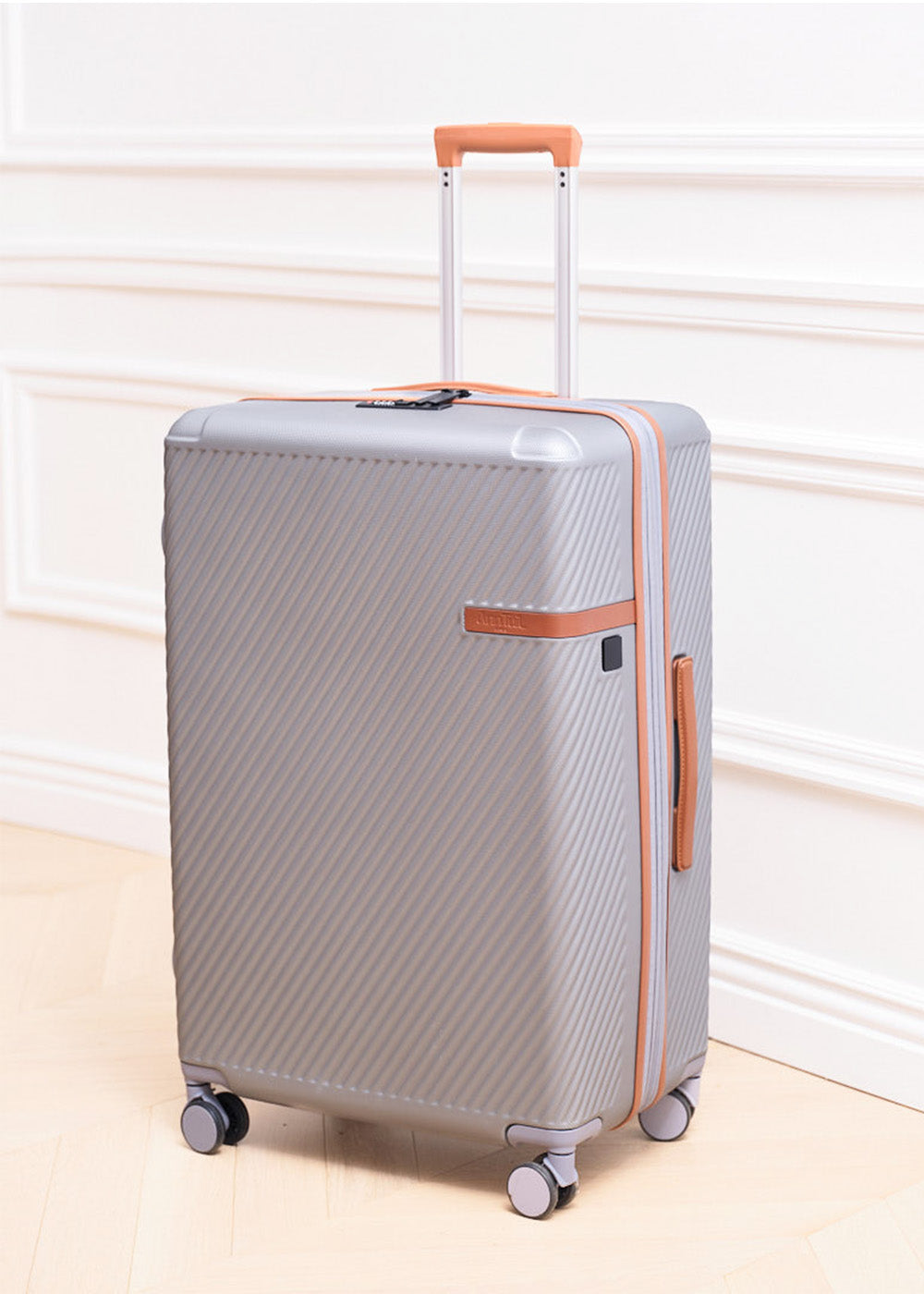 VALISE GRANDE CHANGI GRISE