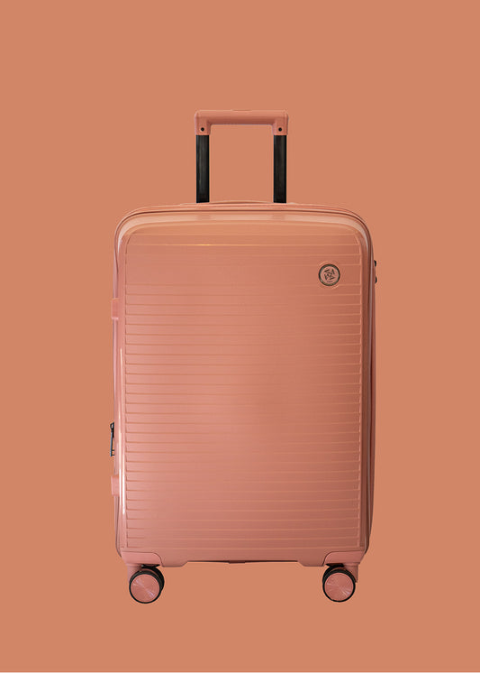 VALISE CABINE NEWARK ROSE