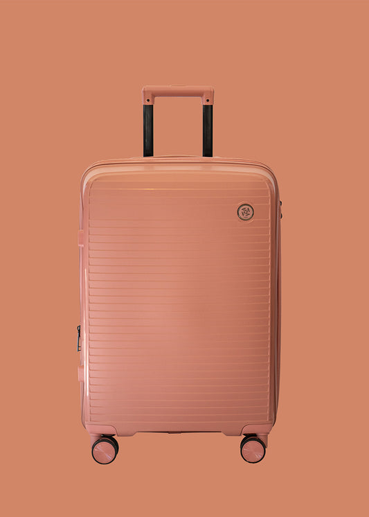 VALISE MOYENNE NEWARK ROSE